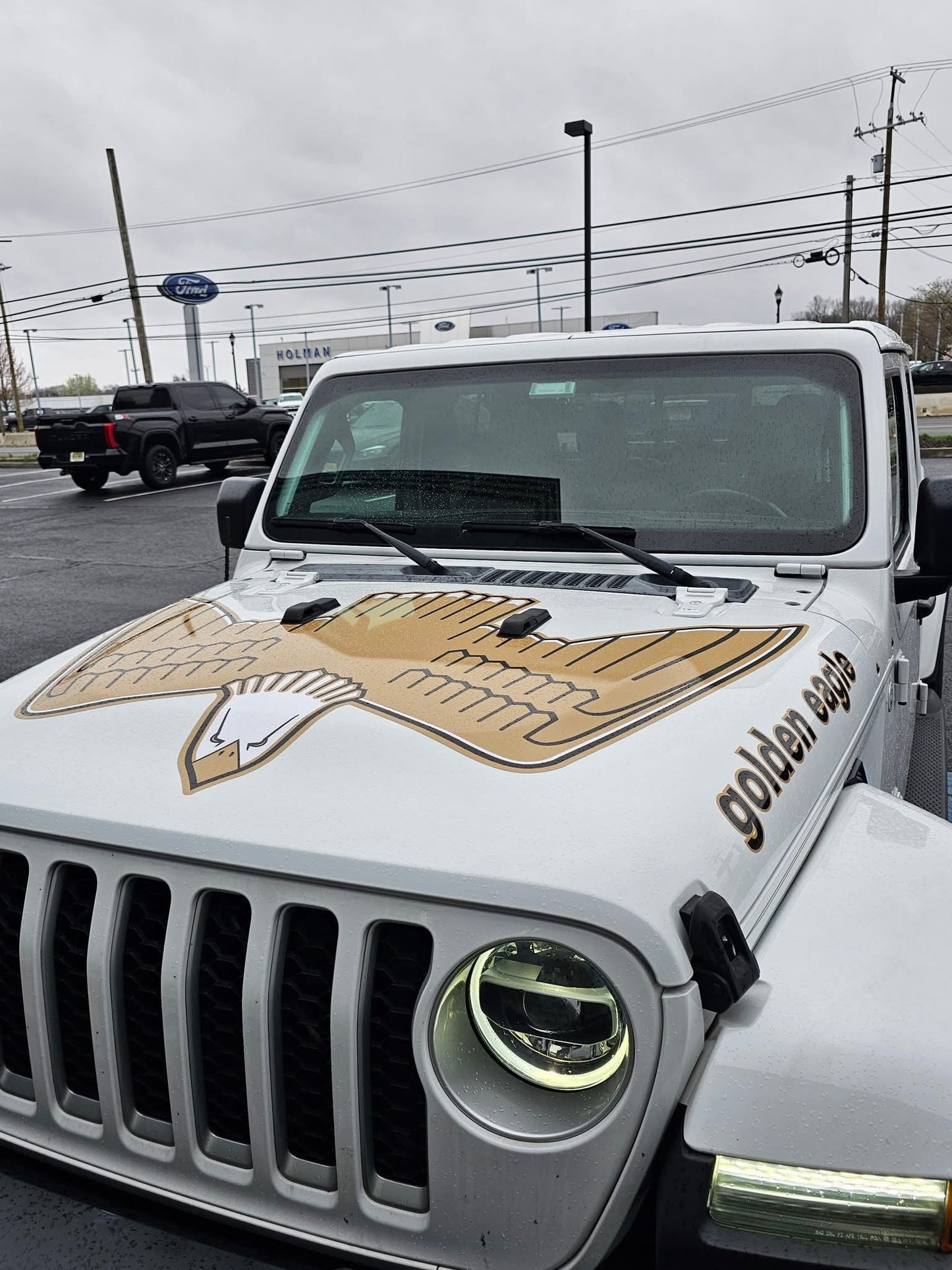 Retro Golden Eagle Graphics Set – Hood Decal & Jeep Name Kit | Classic Golden Eagle Style for Jeep Models | Premium 3M Vinyl