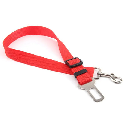 Red dog leash with a metal clip on a white background