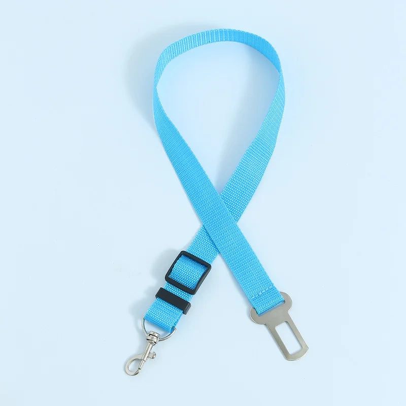 Blue dog leash with a metal clip on a light blue background