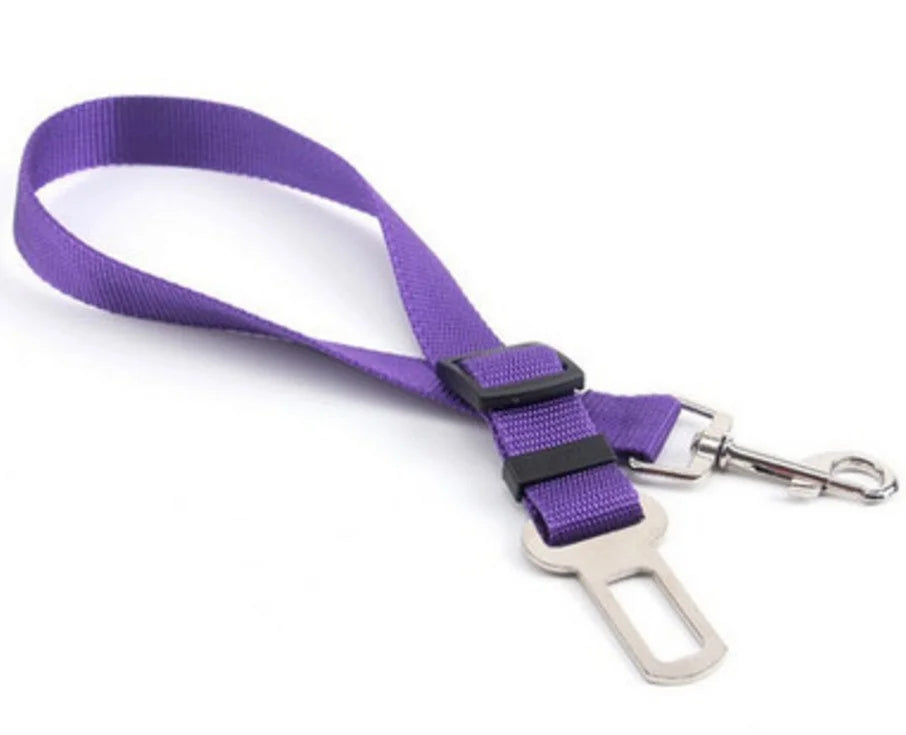Purple dog seat belt with a metal clip on a white background