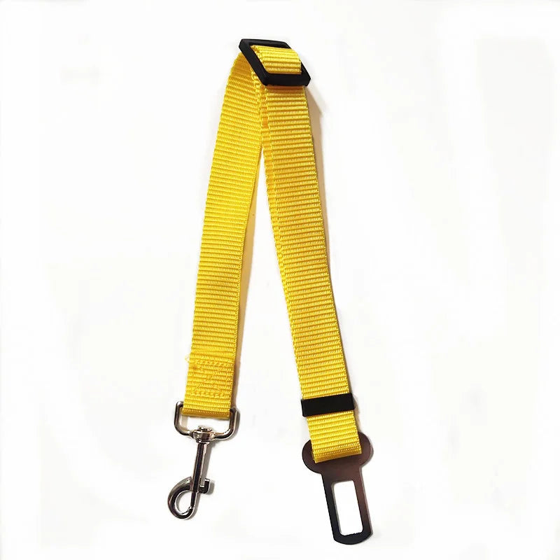 Yellow dog leash with metal clip on a white background