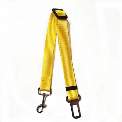 Yellow dog leash with metal clip on a white background