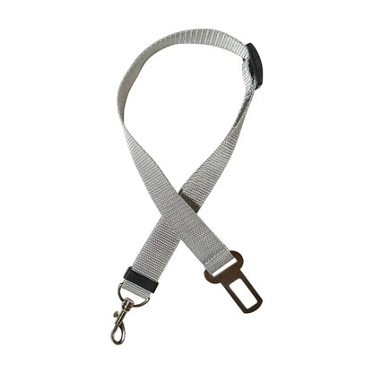 Gray lanyard with a metal clip on a white background