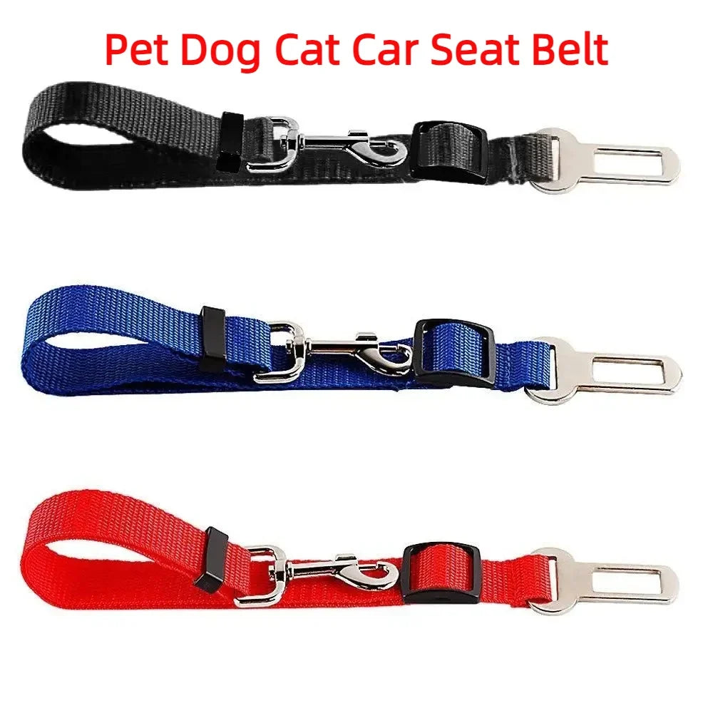 Pet dog cat car seat belt in black, blue, and red on a white background