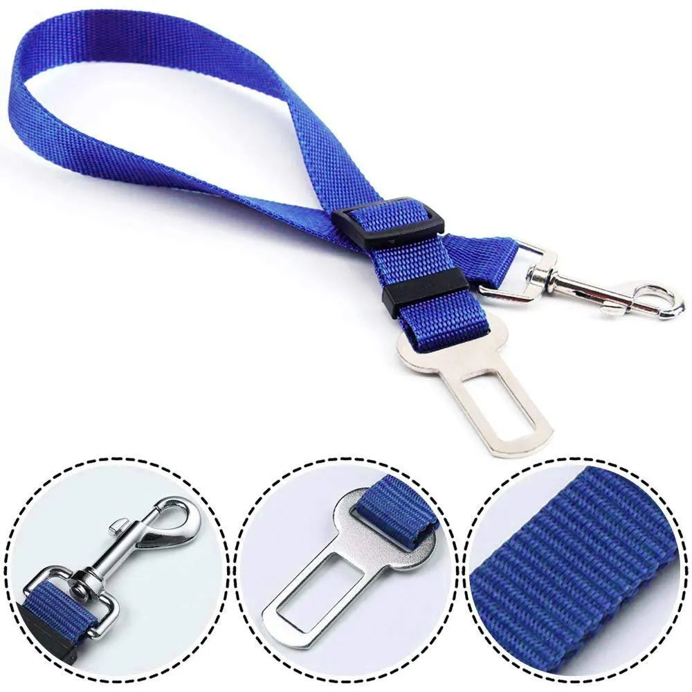 Blue dog leash with metal clip and buckle on a white background