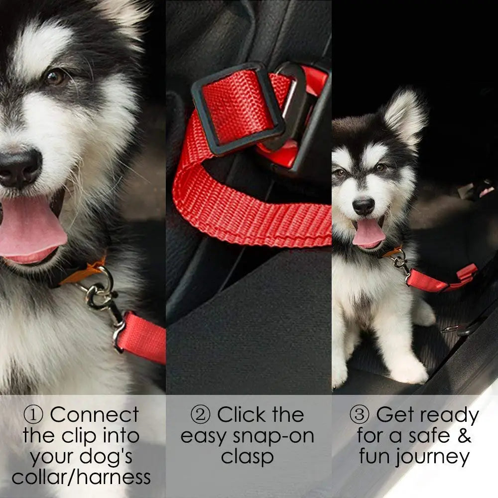 Dog wearing a red pet seat belt with step-by-step instructions on how to use it.