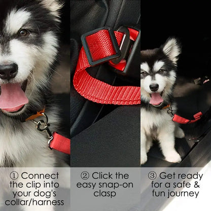 Dog wearing a red pet seat belt with step-by-step instructions on how to use it.