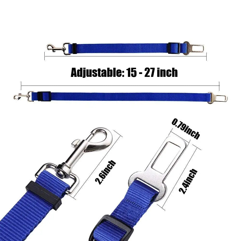 Blue dog leash with measurements on a white background