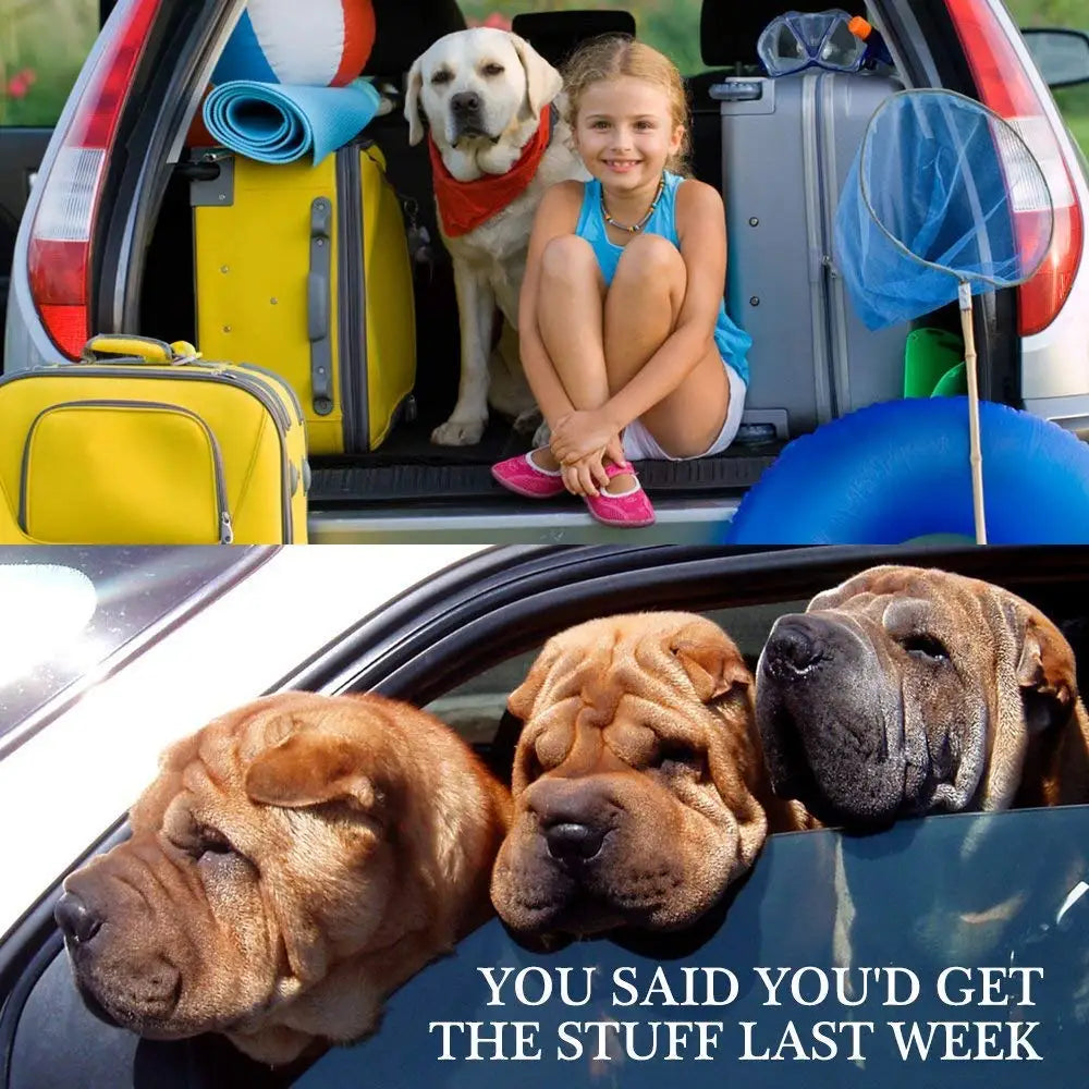 Child sitting with a dog in a car trunk filled with luggage, followed by three dogs looking in from a car window.