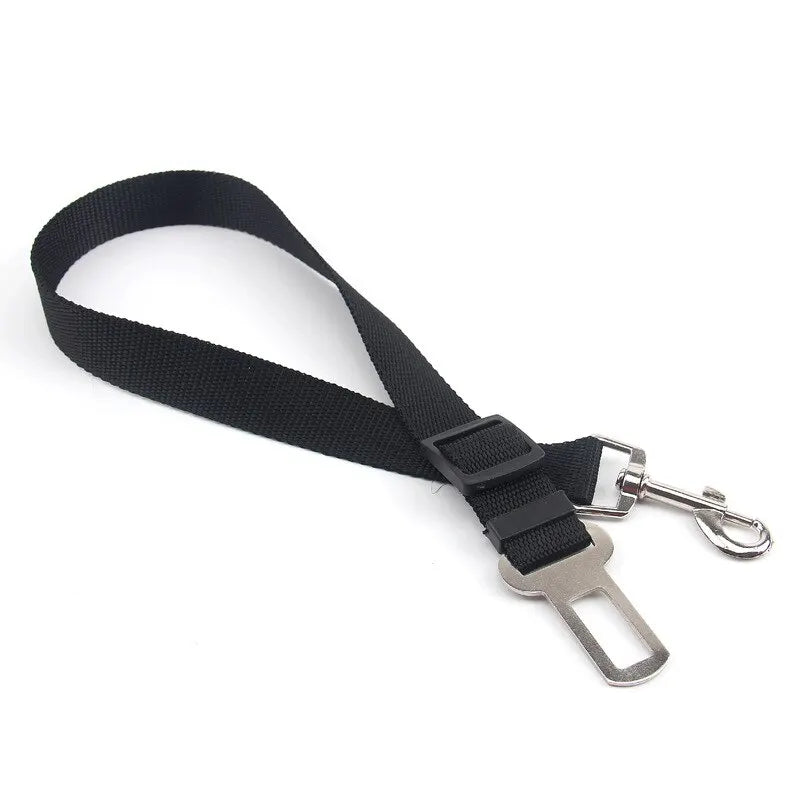 Black seat belt lanyard with metal clip on a white background