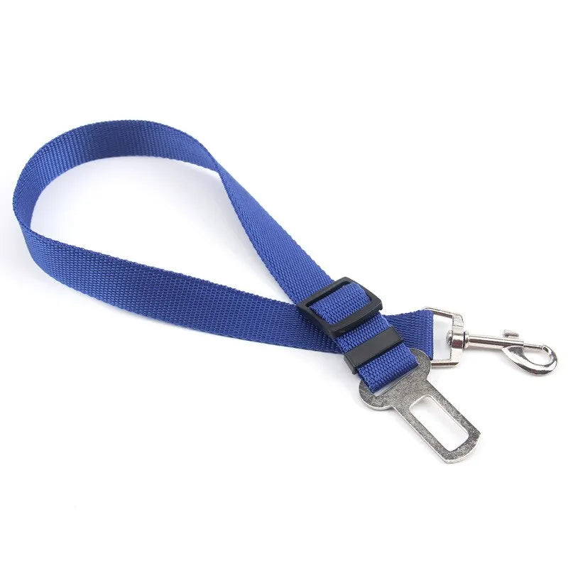 Blue dog leash with a metal clip on a white background