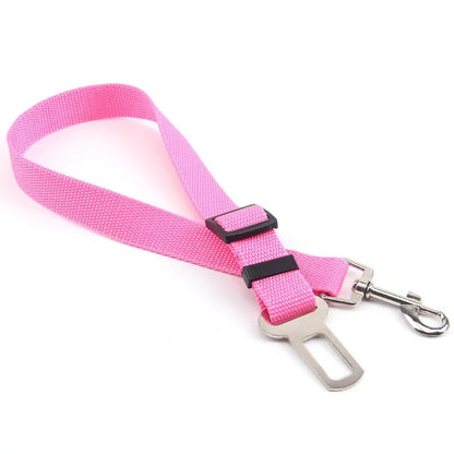 Pink dog leash with metal clip on a white background
