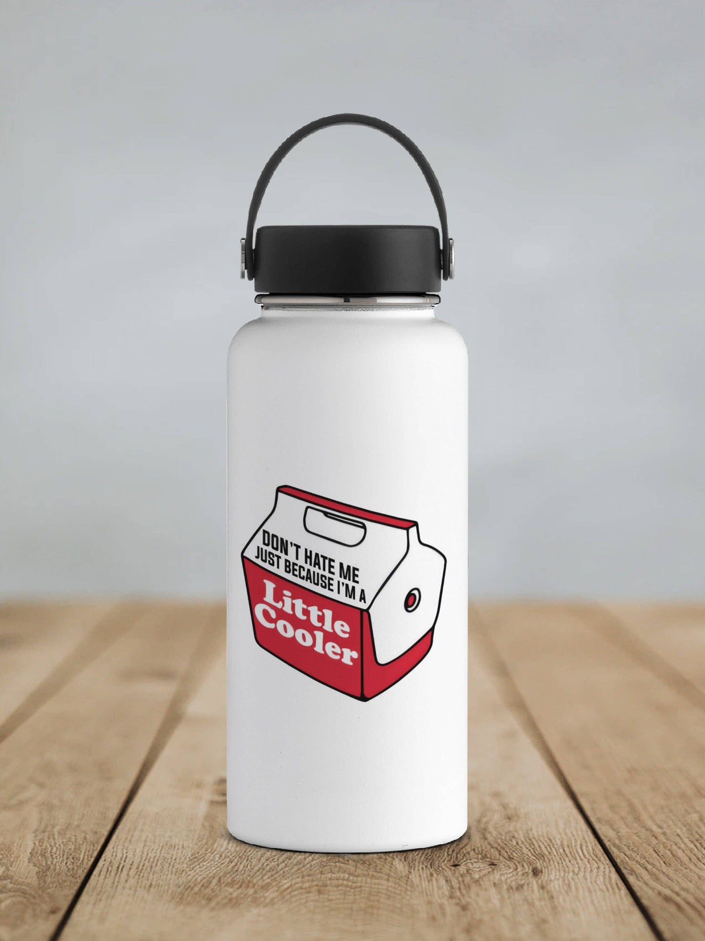 Don't Hate Me Just Because I'm a Little Cooler Sticker