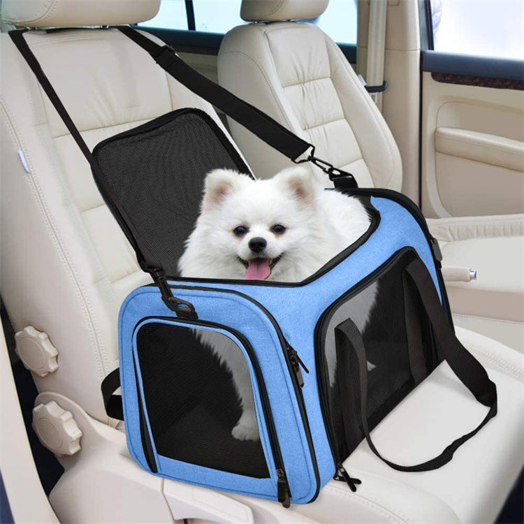 Small white dog in a blue soft-sided pet carrier buckled into a car seat