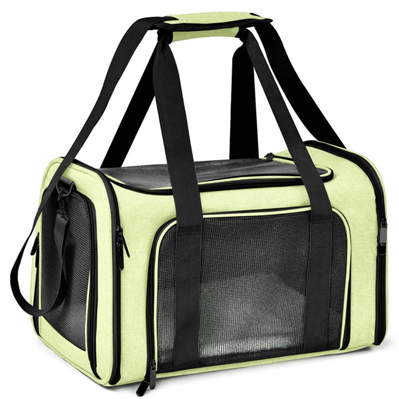 Light green soft-sided pet carrier with mesh windows