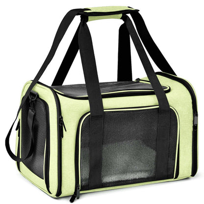 Light green soft-sided pet carrier with mesh windows