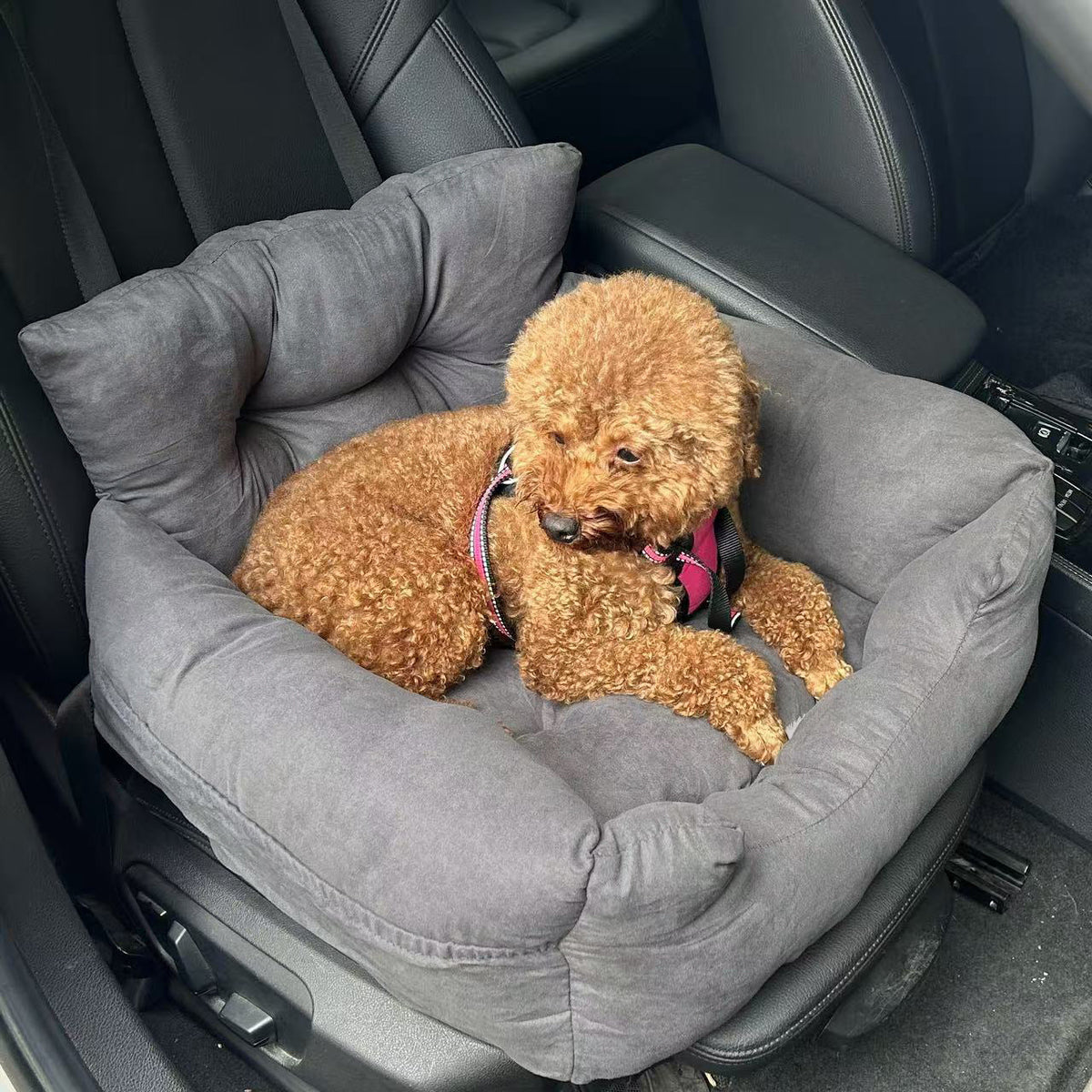 Poodle lying in the dark gray plush dog car seat bed on a front seat