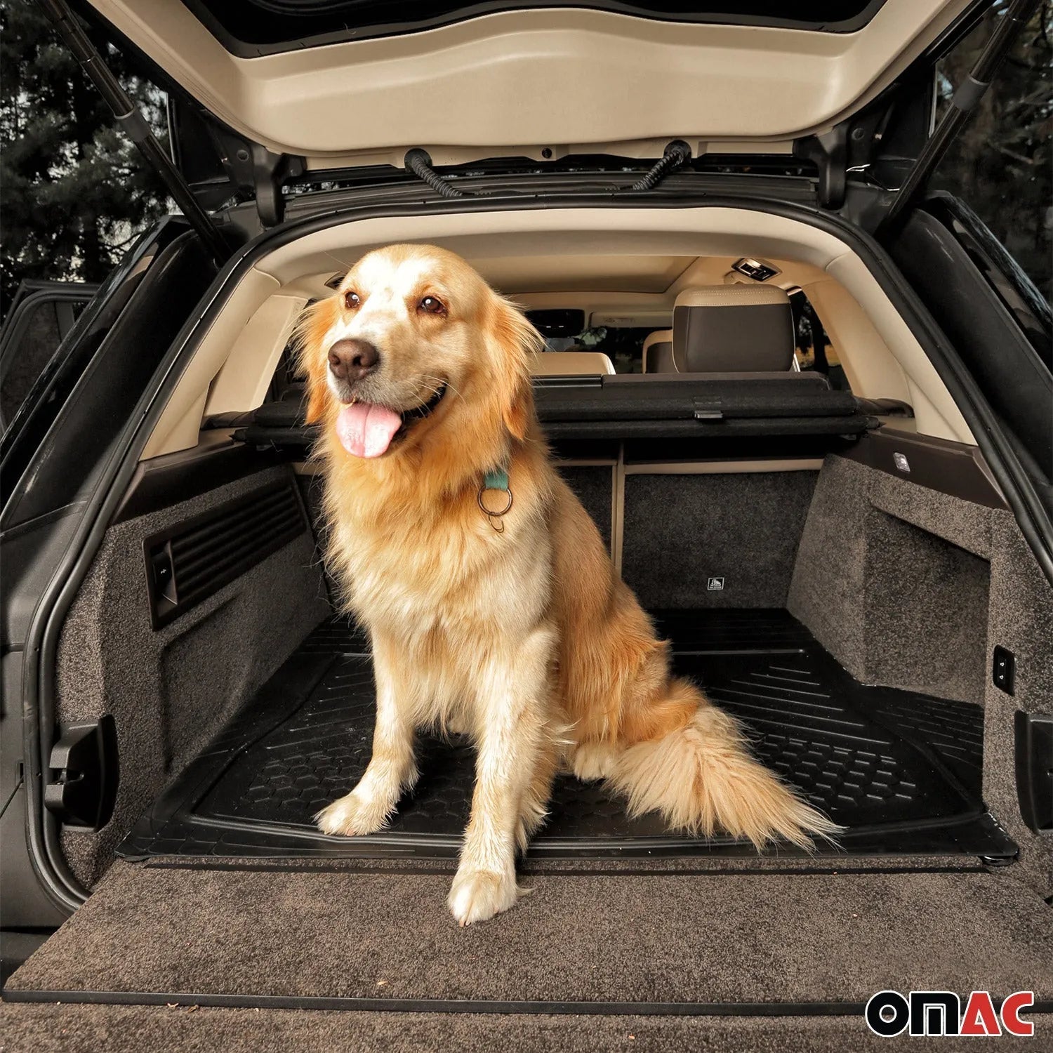 Dodge Ram 1500 Semi-Custom fit Cargo Mats Liner All Weather Black Rubber 6
