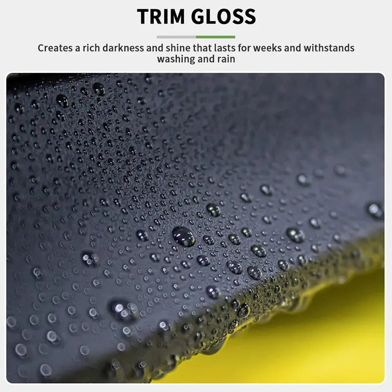 Plastic Trim Gloss and Coating Renovator